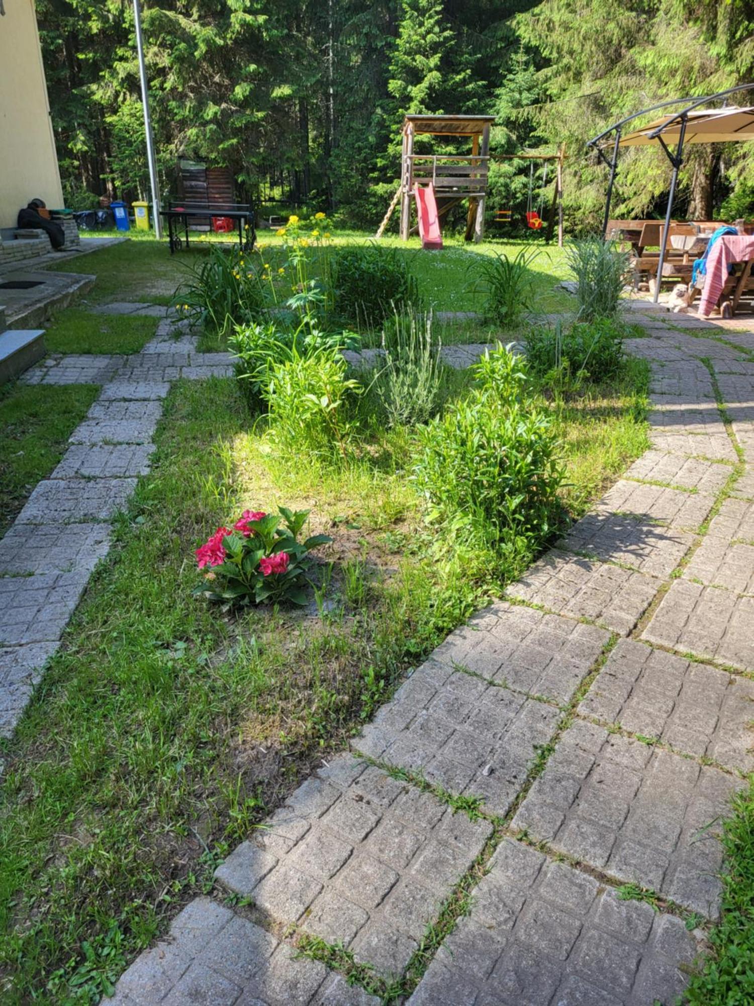 פאדיס Pension Cabana Cetatile Ponorului מראה חיצוני תמונה